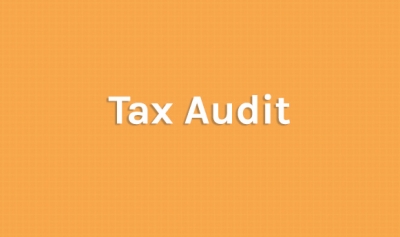 Tax audit report u/s 44AB - Has it travelled beyond business or profession?